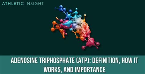 adenosine triphosphate發音|ATP: How It Works, How It's Made, and Why It's Important .